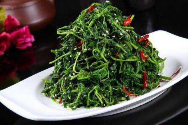 蒲公英怎么吃，涼拌、炒菜、煲湯