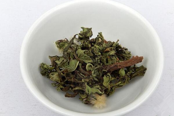 長期喝干蒲公英水好嗎，長期飲用會導(dǎo)致腹痛、腹瀉