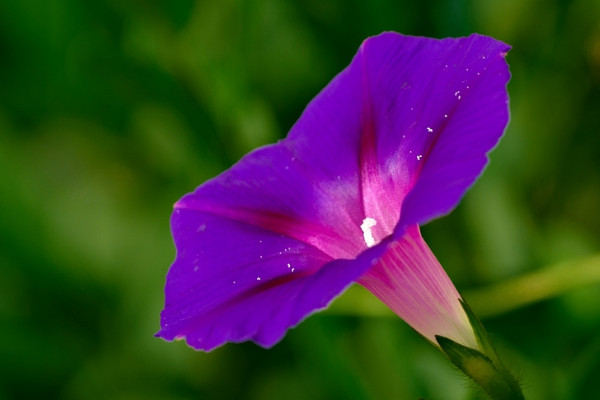 牽?；萘嗽趺崔k