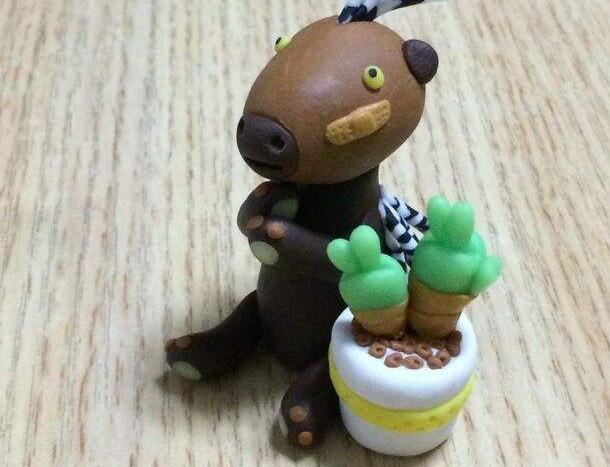 碧光環(huán)怎么繁殖，分播種和扦插兩種方法