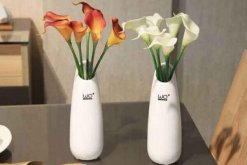 馬蹄蓮插花瓶能養(yǎng)多久，養(yǎng)護(hù)得當(dāng)可保存半個(gè)月以上