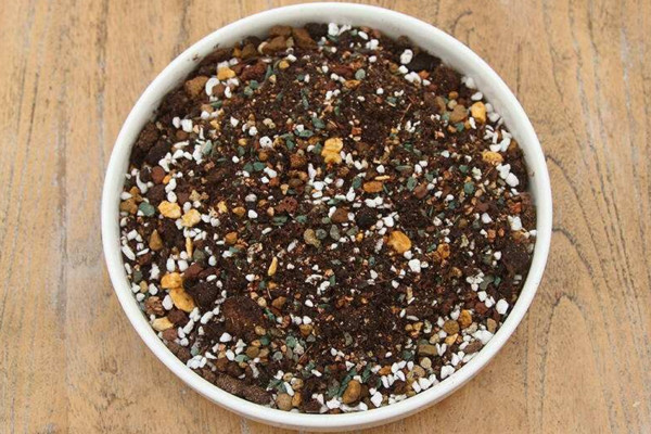 蒲公英種子種植方法，可以通過(guò)以下4步來(lái)進(jìn)行