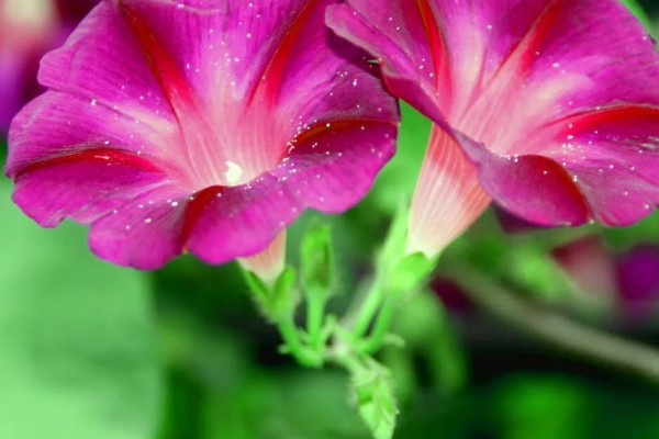 牽?；ㄏ矚g水嗎