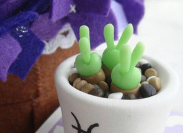 碧光環(huán)用什么樣的土，最好配制適合植物生長的透氣土壤