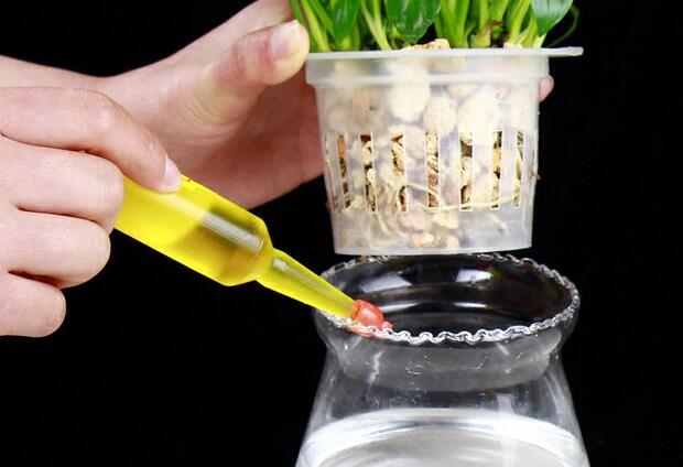 一帆風(fēng)順用什么營養(yǎng)液，濃縮型營養(yǎng)液（發(fā)芽多發(fā)枝快）