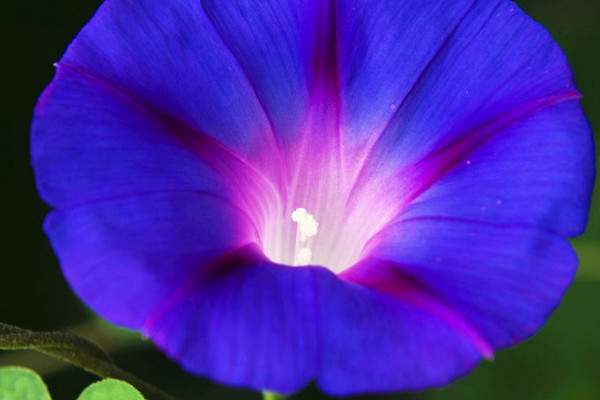 牽?；€根怎么辦