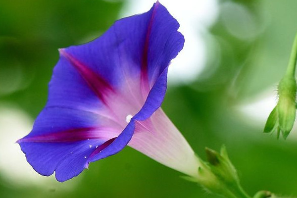 牽?；ㄒ圃院笮氯~變干怎么辦