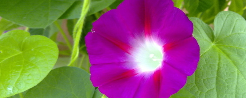 牽?；ㄩL太高怎么辦