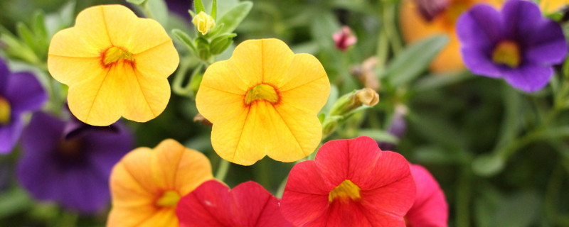 牽?；ㄏ矚g陽光還是陰涼