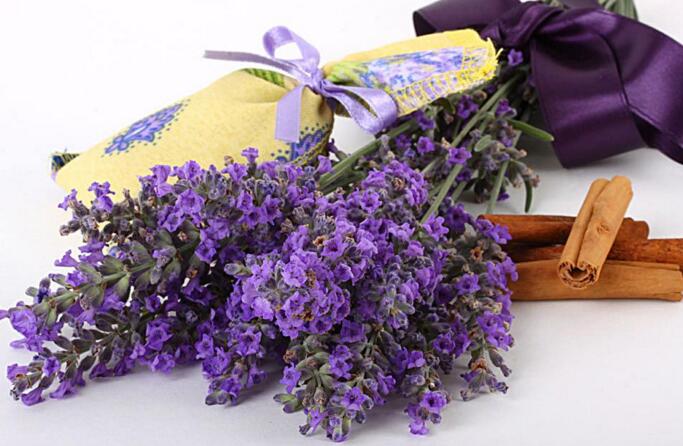 藍(lán)色薰衣草花語(yǔ)，一對(duì)戀人之間的心心相印