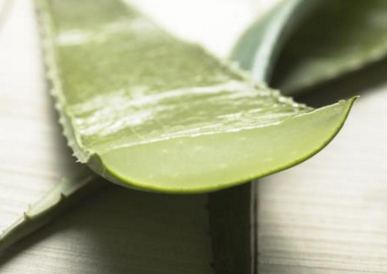 蘆薈有什么營(yíng)養(yǎng)，富含膳食纖維、礦物質(zhì)(維生素豐富)