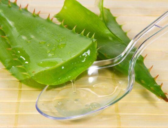 蘆薈美容正確使用方法，教你最實(shí)用的五種好用法