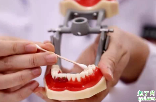 寶寶出牙會有低燒嗎 小孩先長上牙還是下牙4