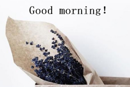 12月你好早安圖片說說2019 十二月早上好的文字圖片說說11