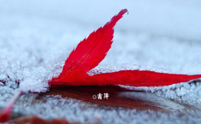 2020什么時(shí)候霜降 霜降下來(lái)是哪個(gè)節(jié)氣