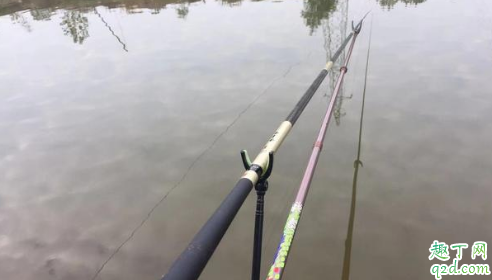 冬季晴天1到8度怎么釣魚 冬天八度左右釣深水還是淺水1
