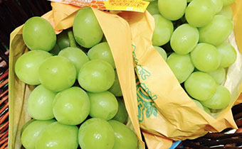 提子籽有毒嗎 吃提子帶籽對(duì)身體有害嗎