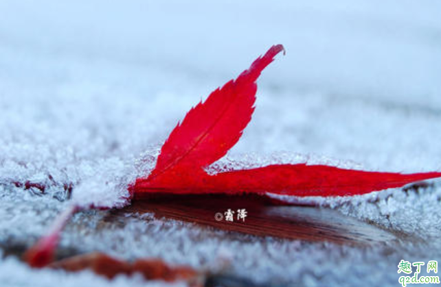 2020什么時候霜降 霜降下來是哪個節(jié)氣1