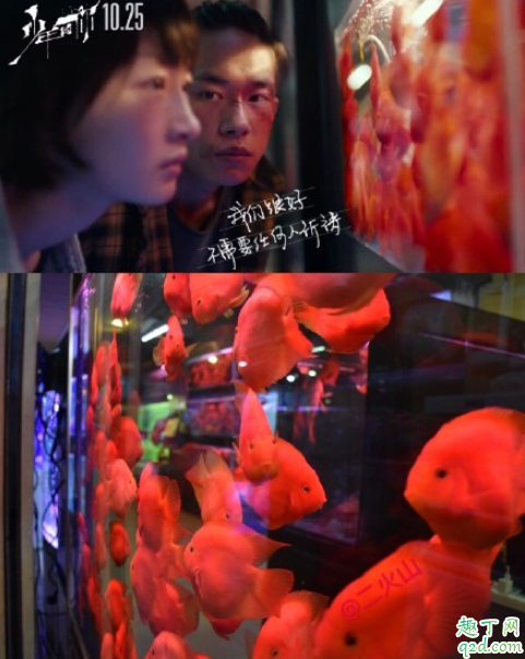 少年的你取景地在重慶哪里拍的 少年的你重慶取景地打卡攻略16