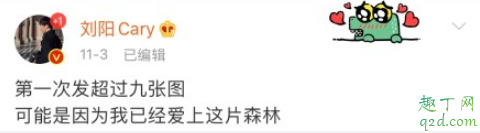 愛(ài)上了這片森林什么梗 2019最佳渣男語(yǔ)錄合集2