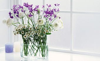 插花為什么要斜著剪 插花根部要斜著剪嗎