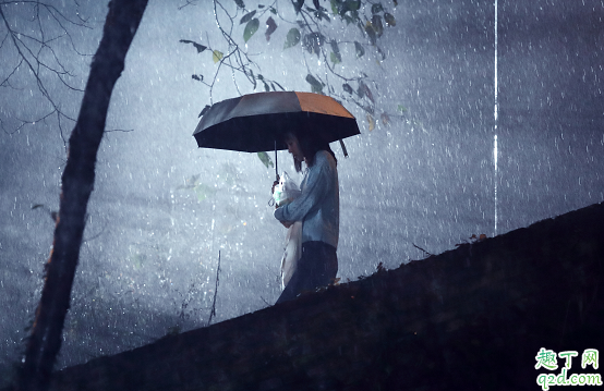 漫長的告別何時播出在哪看 漫長的告別具體更新時間1