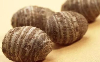 芋頭是天然胰島素嗎 天然胰島素食物有哪些