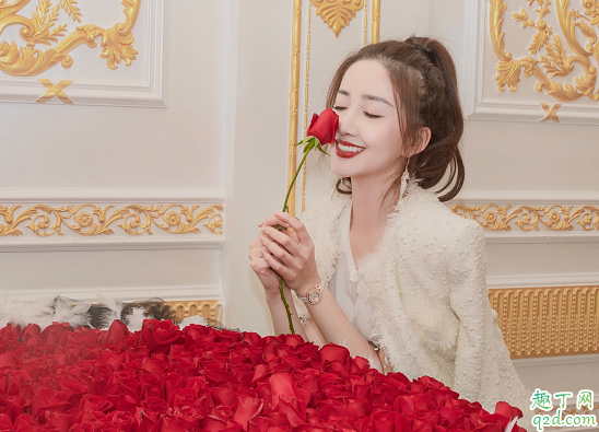 青春拋物線何時播出在哪看 青春拋物線具體更新時間7