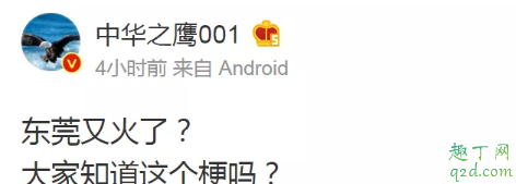 東莞理工學(xué)院城市學(xué)院女生宿舍視頻哪里有 東莞理工城院1V4宿舍事件是真的嗎6