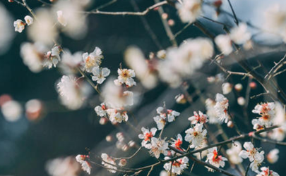 2020年臘月初九是哪一天 2020年臘月初九宜忌