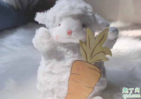 bunnies羊真假有什么區(qū)別 網(wǎng)紅小羊玩偶真假對比圖8