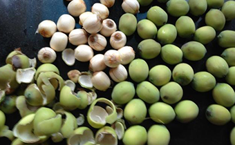 蓮子為什么煮不爛 蓮子怎么煮不爛怎么辦