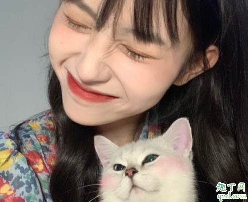 番茄社區(qū)邀請(qǐng)碼是多少 番茄社區(qū)安卓版下載在哪3