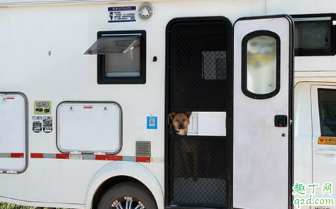 房車晚上睡覺怎么通風(fēng) 睡在房車里會不會缺氧3