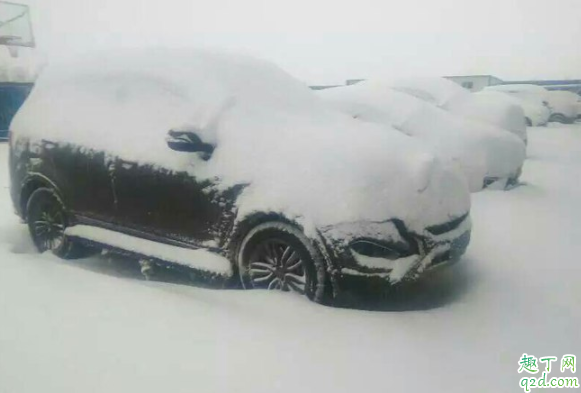 下雪可以蓋車衣嗎 夏天蓋車衣會(huì)不會(huì)更熱1