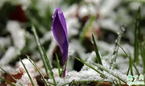 2019大雪過(guò)后就冷了嗎 大雪不下雪好不好1