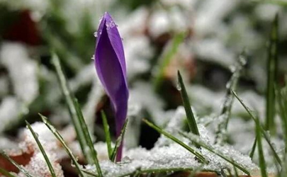 2019大雪過后就冷了嗎 大雪不下雪好不好