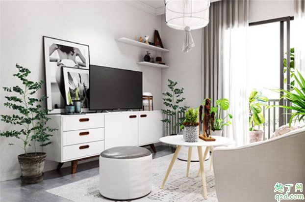 客廳里面放什么植物合適好 客廳不能放哪些植物1