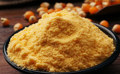 玉米面能釣鯉魚嗎 用玉米面餌料釣魚需注意些什么