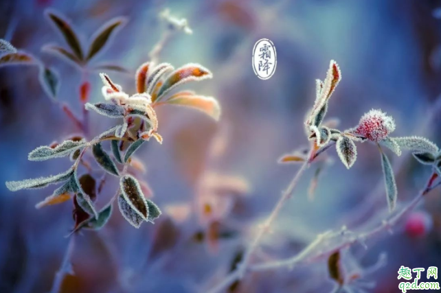 2020什么時候霜降 霜降下來是哪個節(jié)氣4