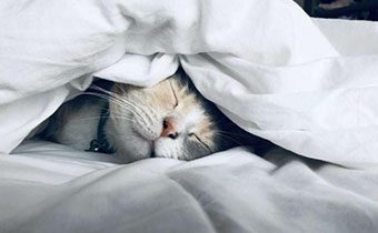 晚上燈亮著影不影響成人的視力 晚上開燈睡覺對人體有何危害