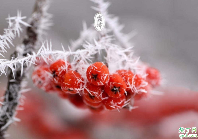 2020什么時候霜降 霜降下來是哪個節(jié)氣5