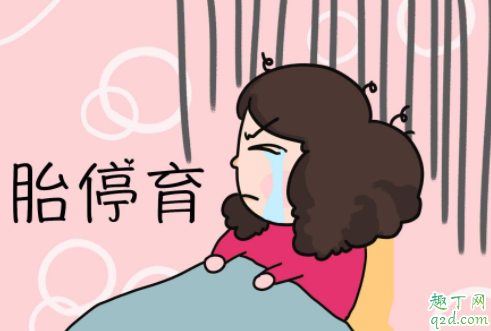 胎停有沒有希望活過來 孕早期胎停育有哪些征兆1