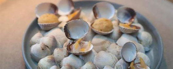 孕婦一點蛤蜊都不能吃嗎 常吃蛤蜊對身體有何不利影響