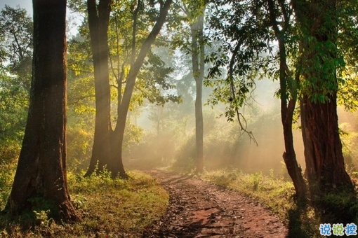 心里委屈難過的說說帶圖片 適合心情不好時發(fā)的微信說說 3