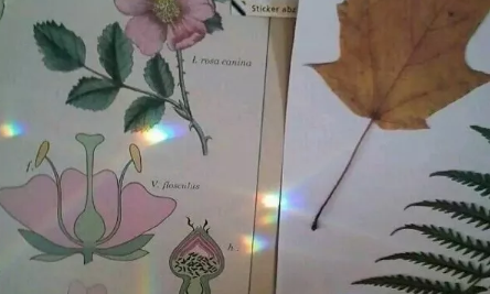 心累了傷感說說帶圖片精選14條 心累了傷感說說帶圖片適合女生2