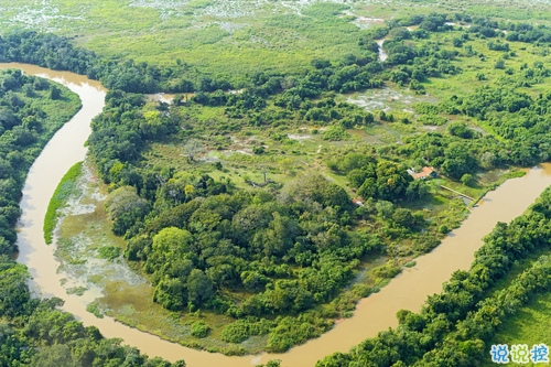 2019豬年勵志句子致自己 2019早安豬年勵志語錄大全2