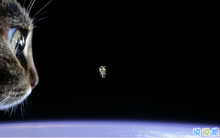 qq空間郁悶說說配圖傷感:有時(shí)自己也捉摸不透自己7