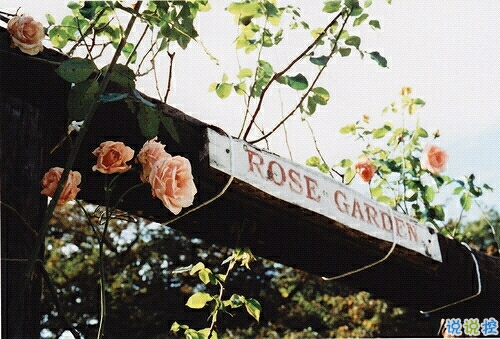 一個人情緒低落的傷感說說帶圖片 受過傷流過淚的難過說說14