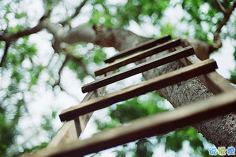 知性女人用的唯美朋友圈說(shuō)說(shuō)圖片 剪一段愛(ài)的時(shí)光永久收藏13